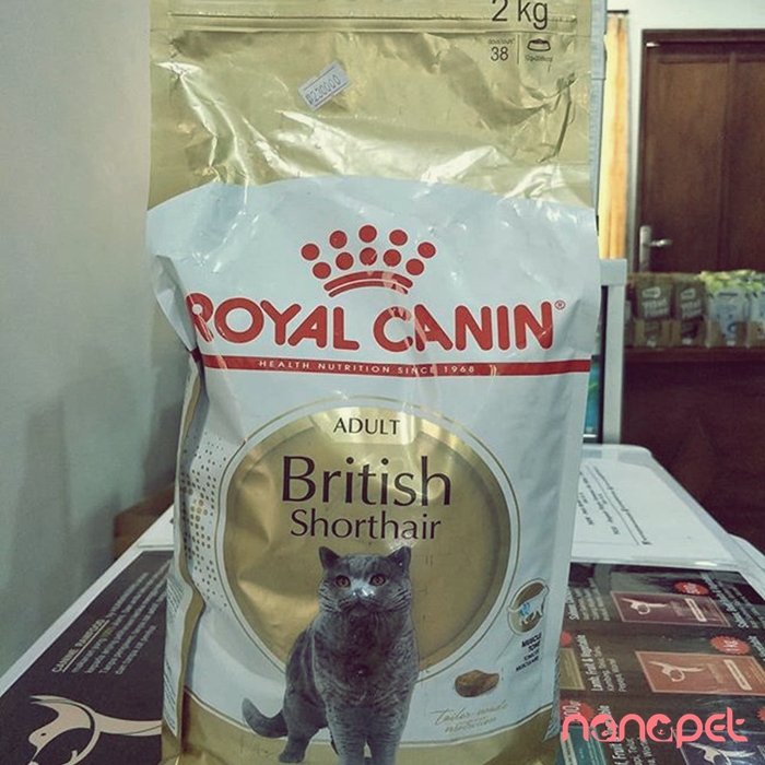 Hạt Royal Canin British Shorthair Anh Lông Ngắn